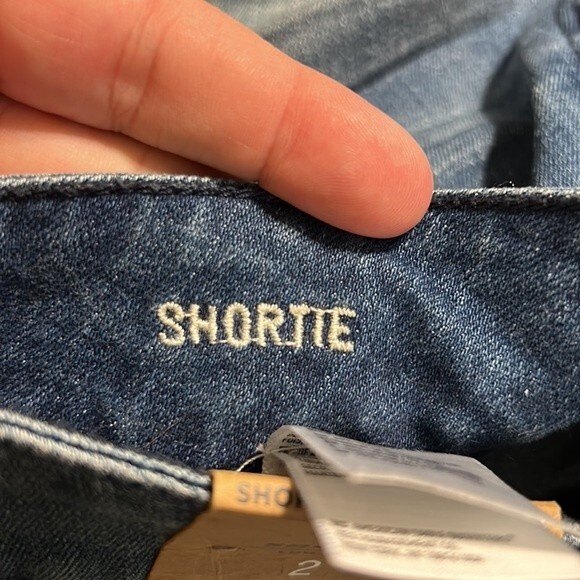 AMERICAN EAGLE Size 2 NWT Shortie Low Rise Stretch Denim Jean Shorts Raw Hem - Picture 8 of 9